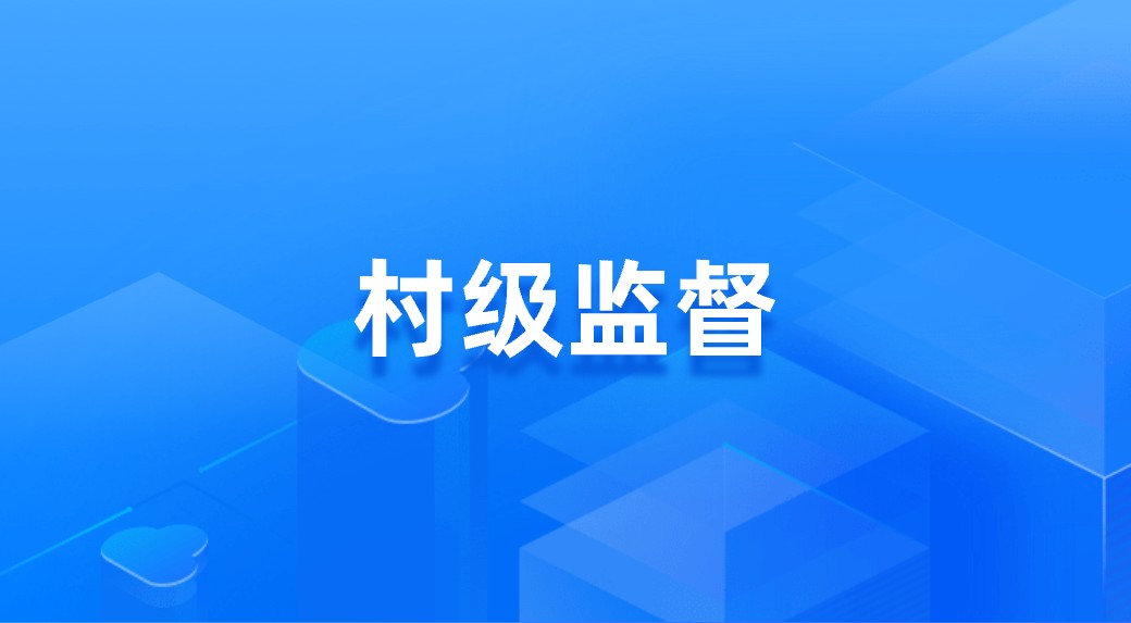 村级监督